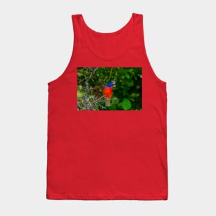 Colorful Painted Bunting -Painterly Tank Top